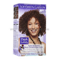 Dark & Lovely 391 Brown Cinnamon Permanent Hair Color image 0