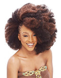 JANET COLLECTION NOIR 2X AFRO KINKY BULK 24" image 0