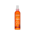 COCONUT OIL SHINE & HOLD MIST image 0