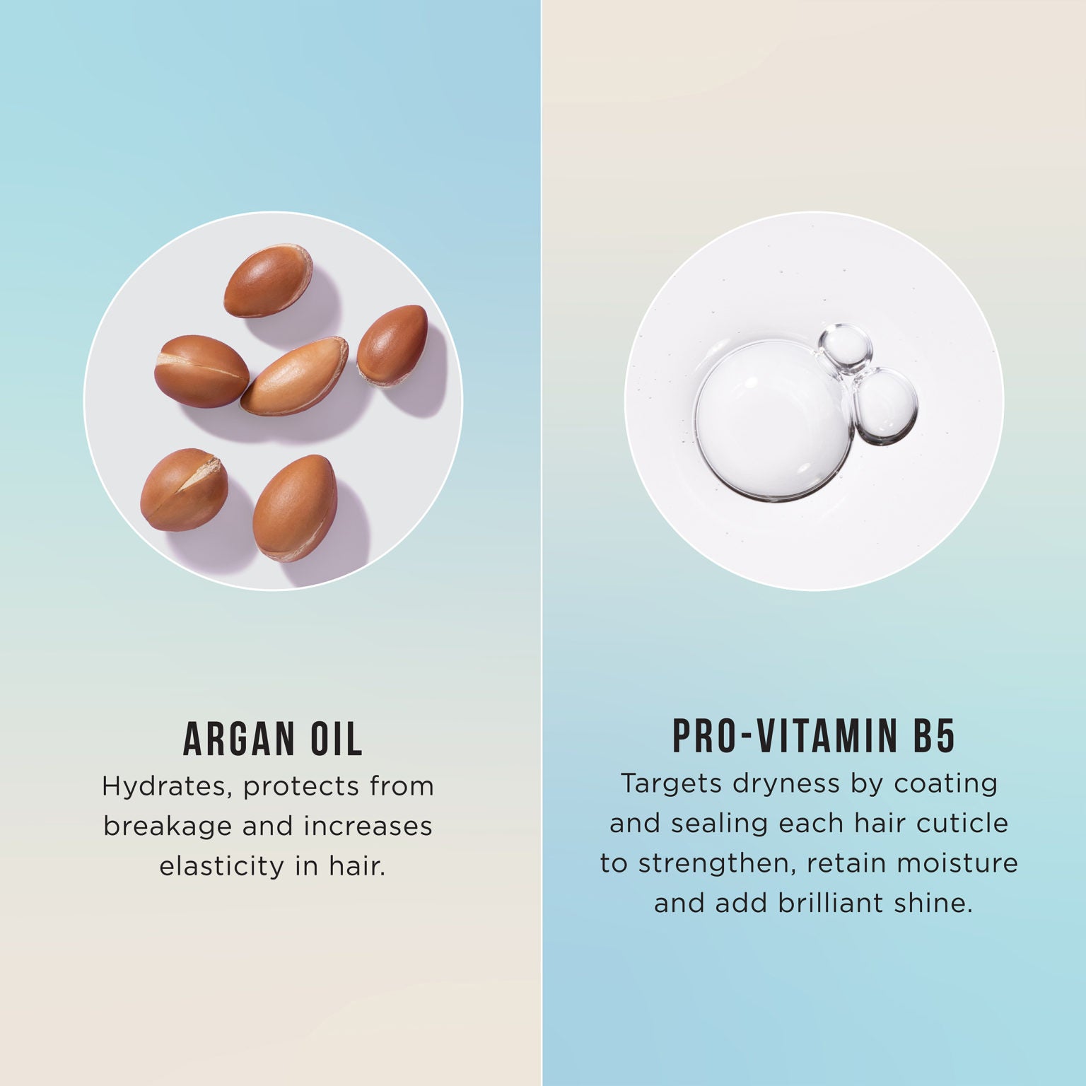 ARGAN OIL 5-IN-1 LEAVE-IN SPRAY Conditions & Detangles image 2