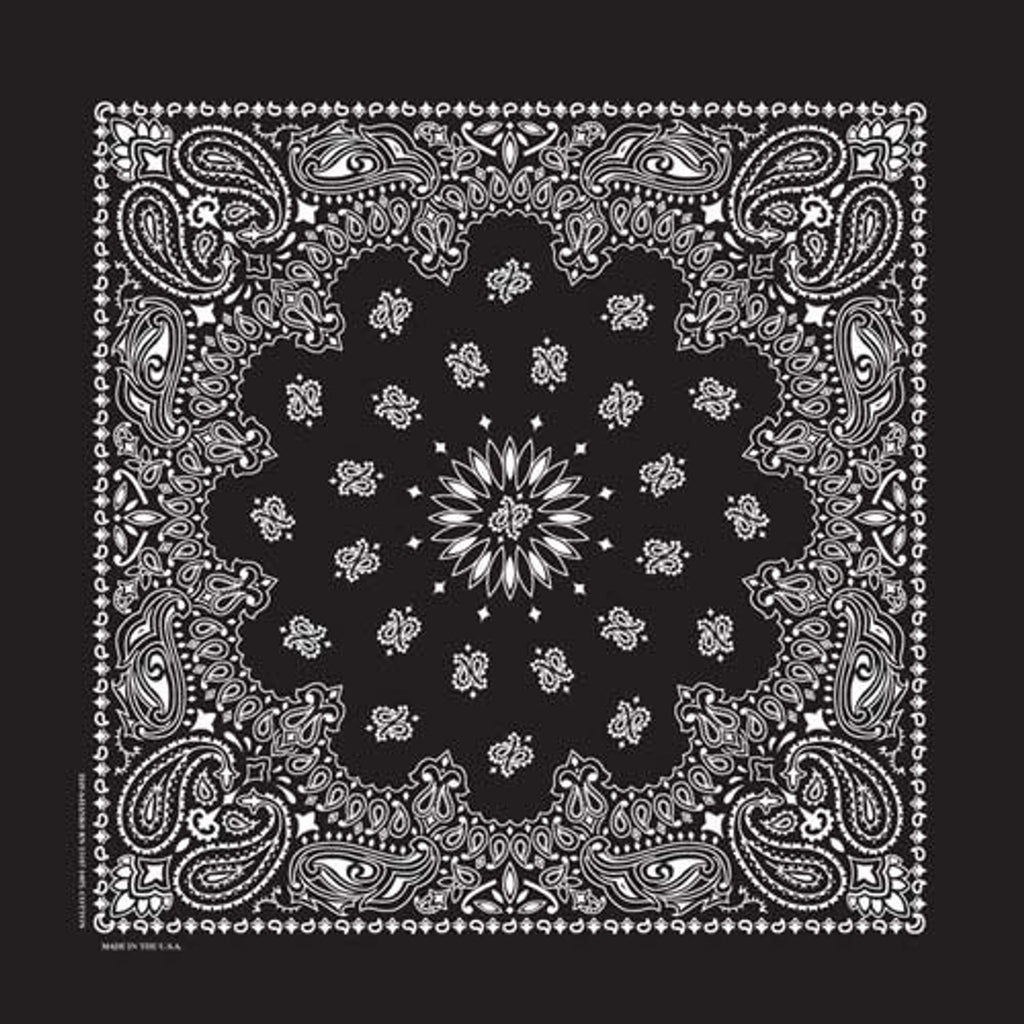 Paisley Bandana - Assorted Colors image 0