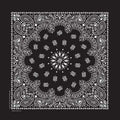 Paisley Bandana - Assorted Colors image 0