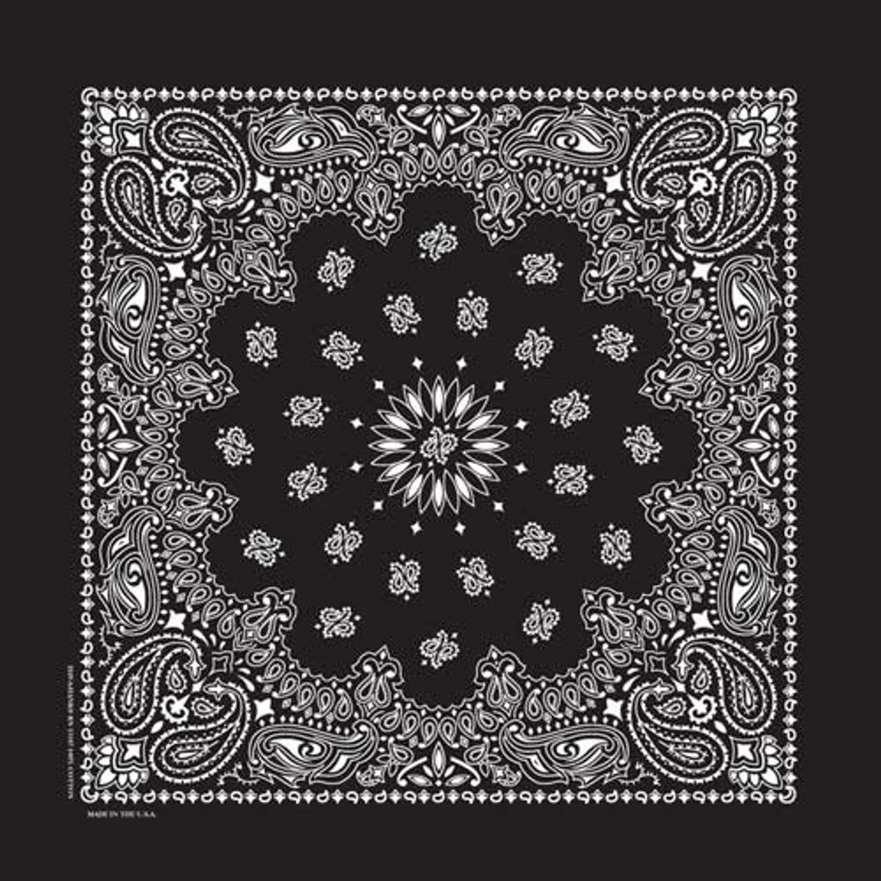 Paisley Bandana - Assorted Colors image 0