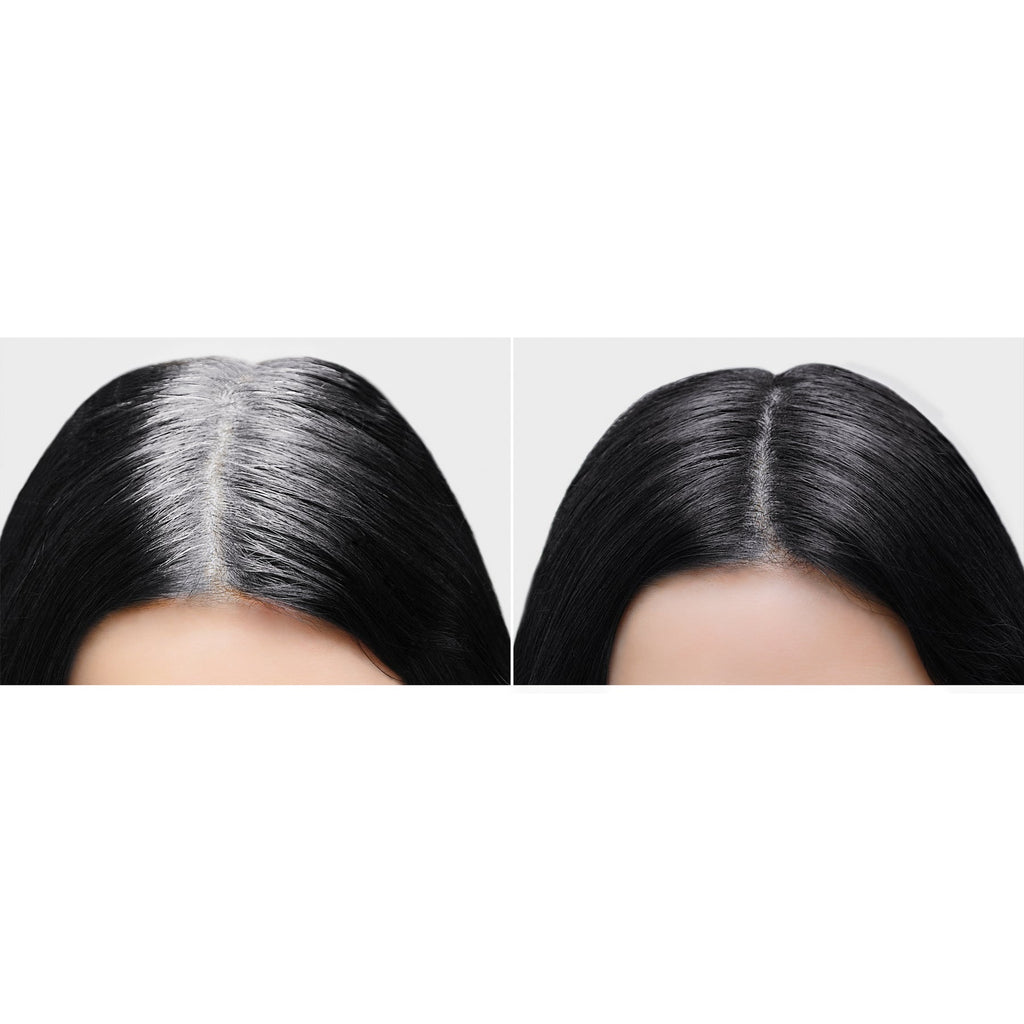 Tyche Root Touch-Up Black image 1