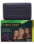 Color of Nature Exfoliating and Brightening Charcoal Soap image 0