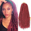 Twist Hair 1B/Burg - 6 pack image 0